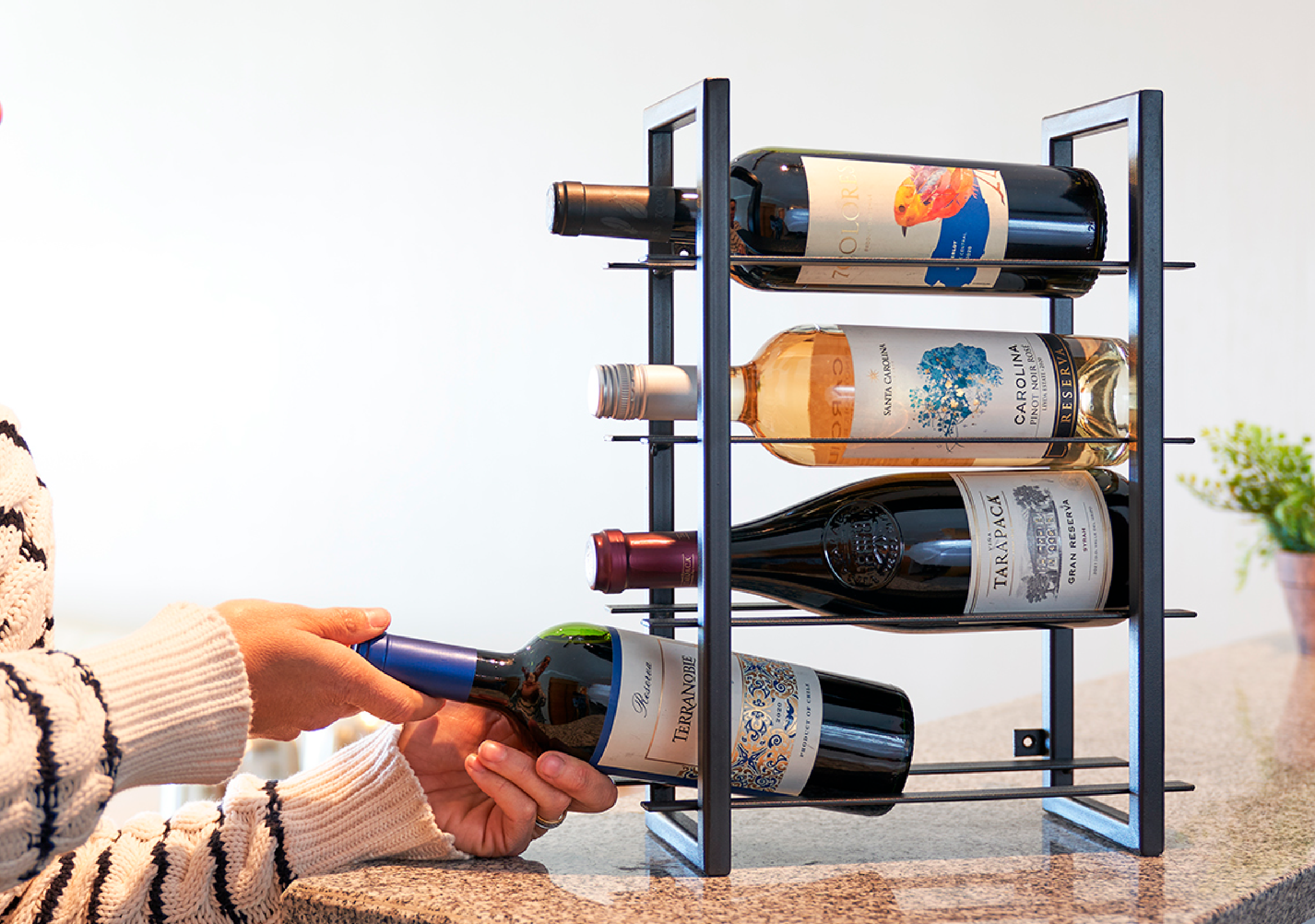 AGRESTE – CAVA DE VINO